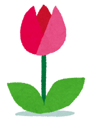 チューリップ.png